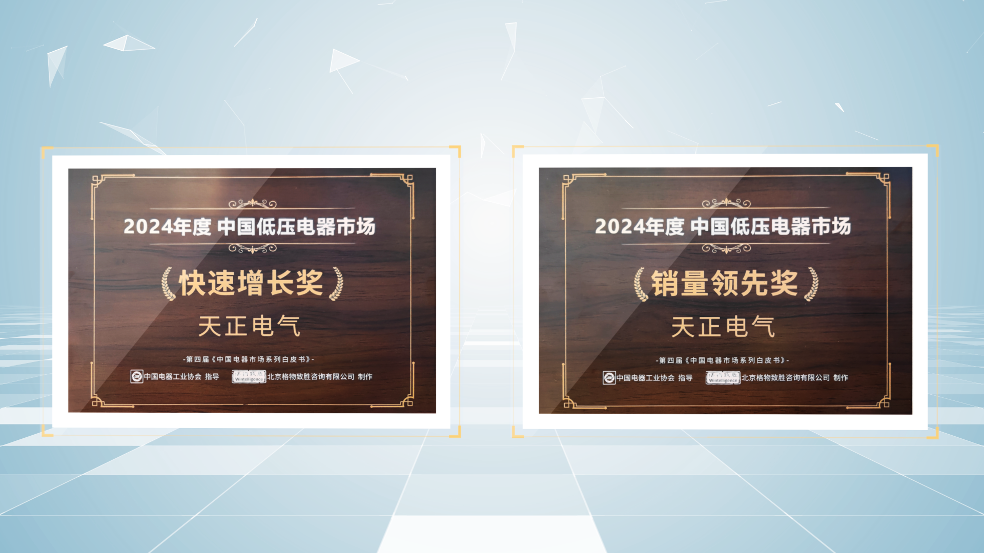 销量领先、快速增长丨mk体育app官网下载入口荣膺2项行业年度大奖